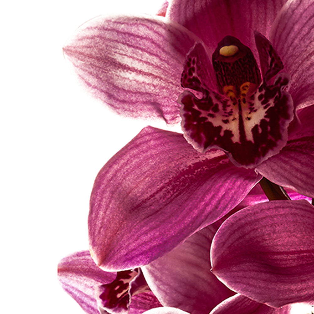 Supreme 24k Gold Face Soufflé