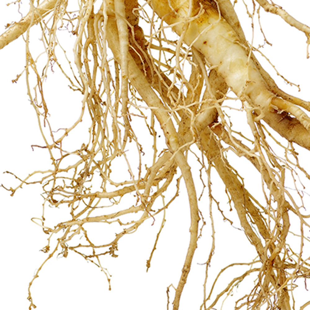 Sensitive Skin Code+ Face Serum