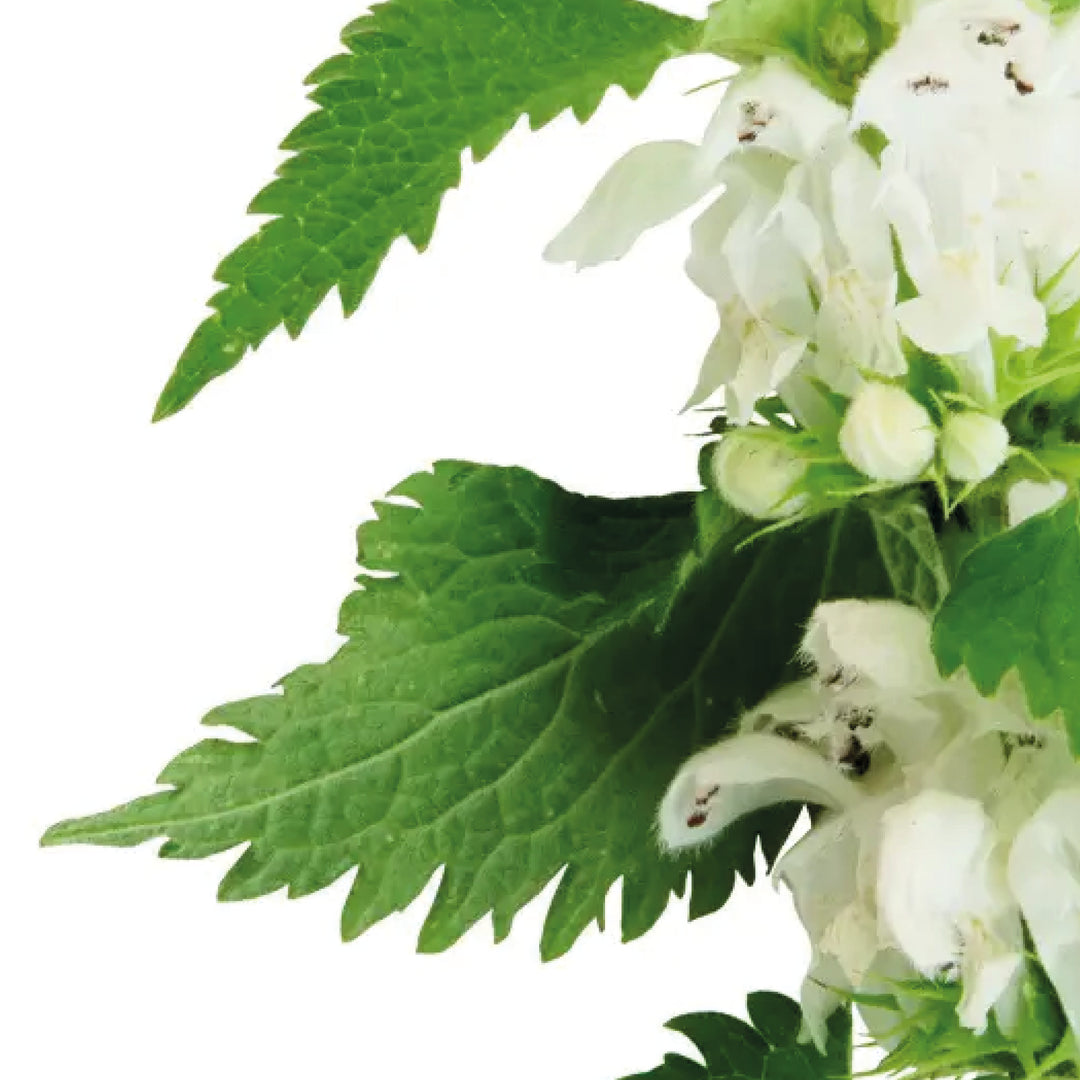 Superlift Facelifting Set