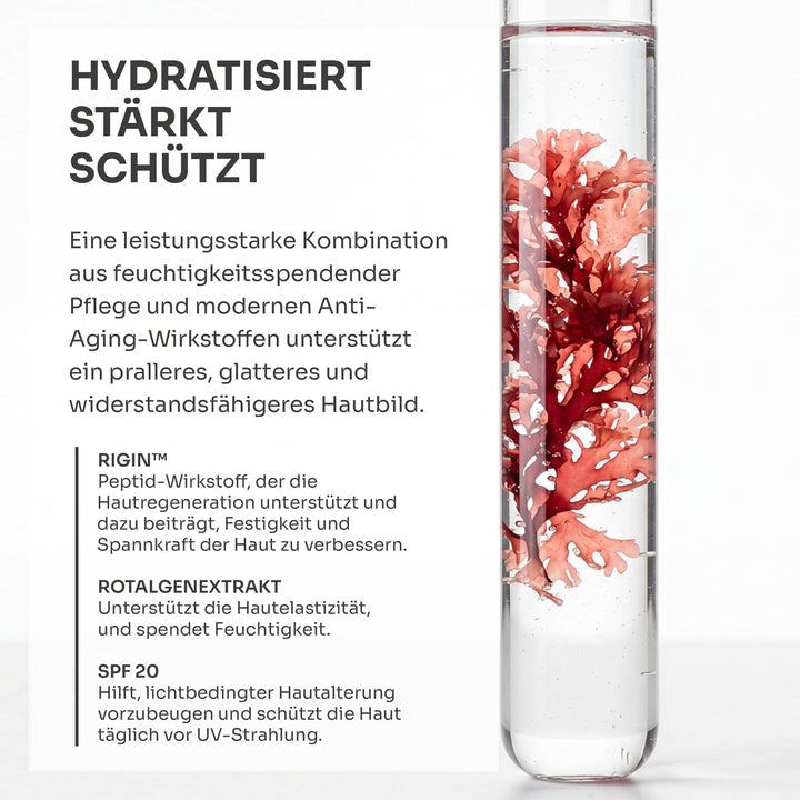 Hydronic Day Booster