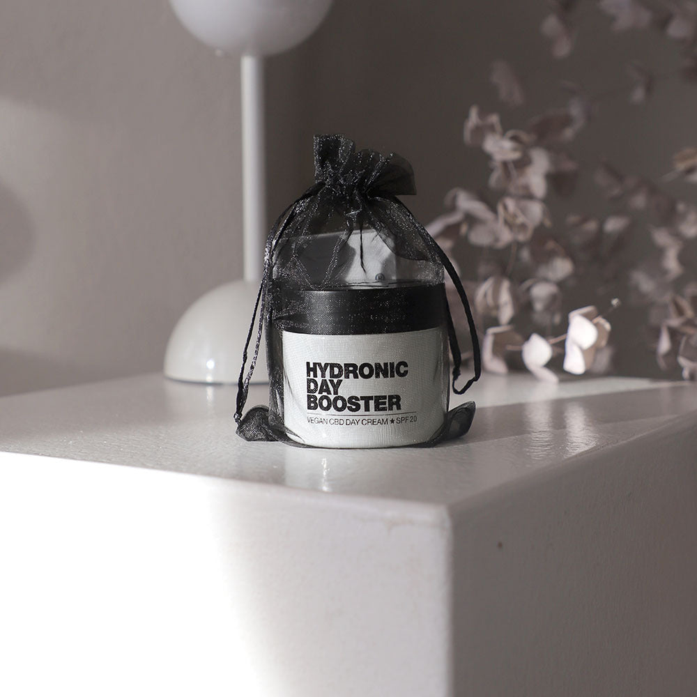 Hydronic Day Booster