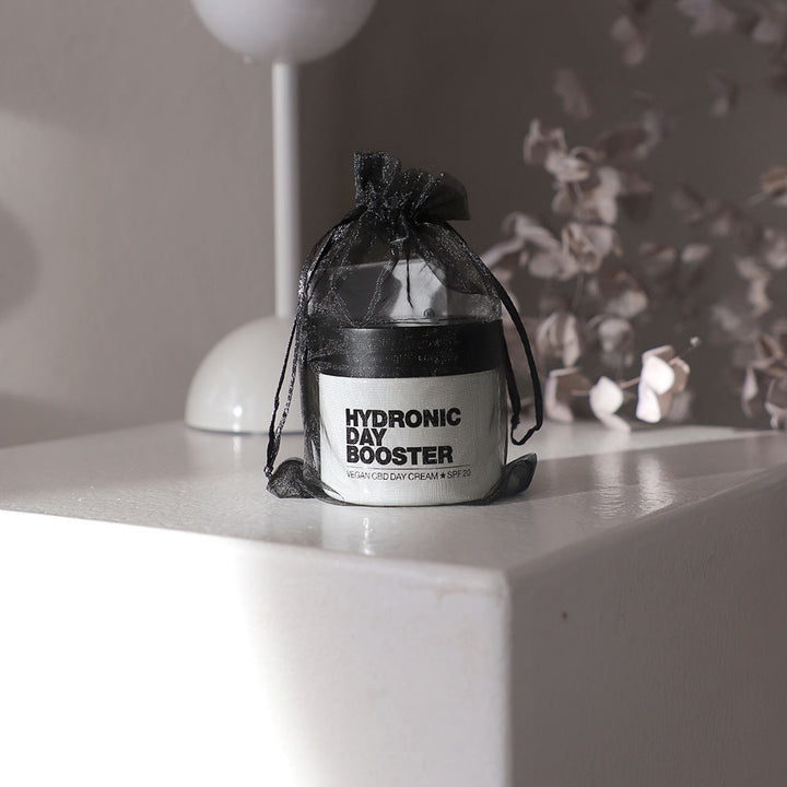 Hydronic Day Booster