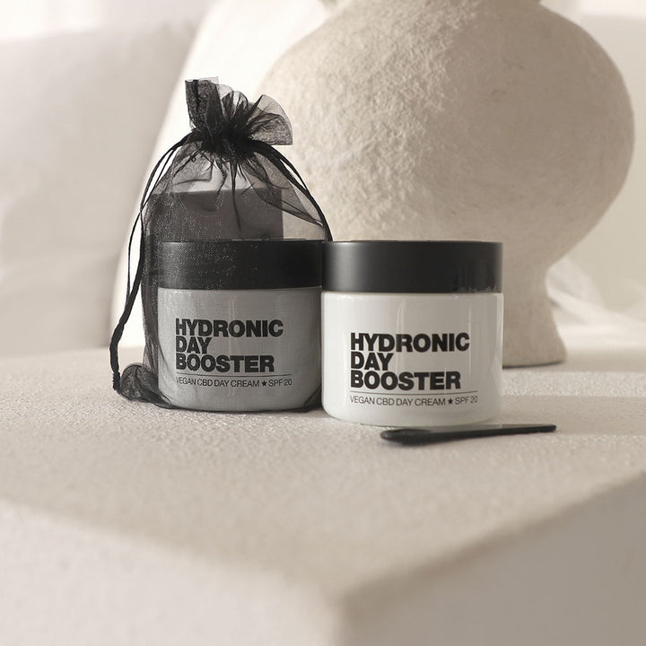 Hydronic Day Booster