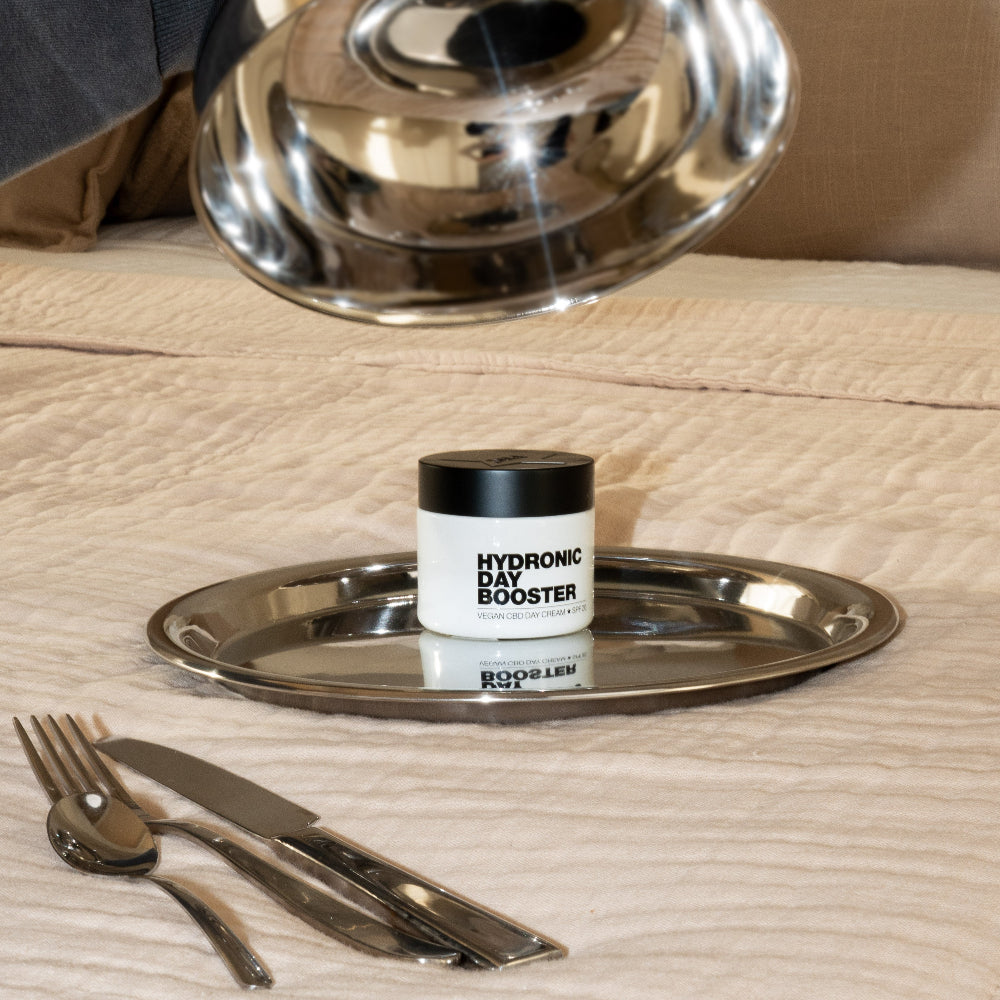 Hydronic Day Booster