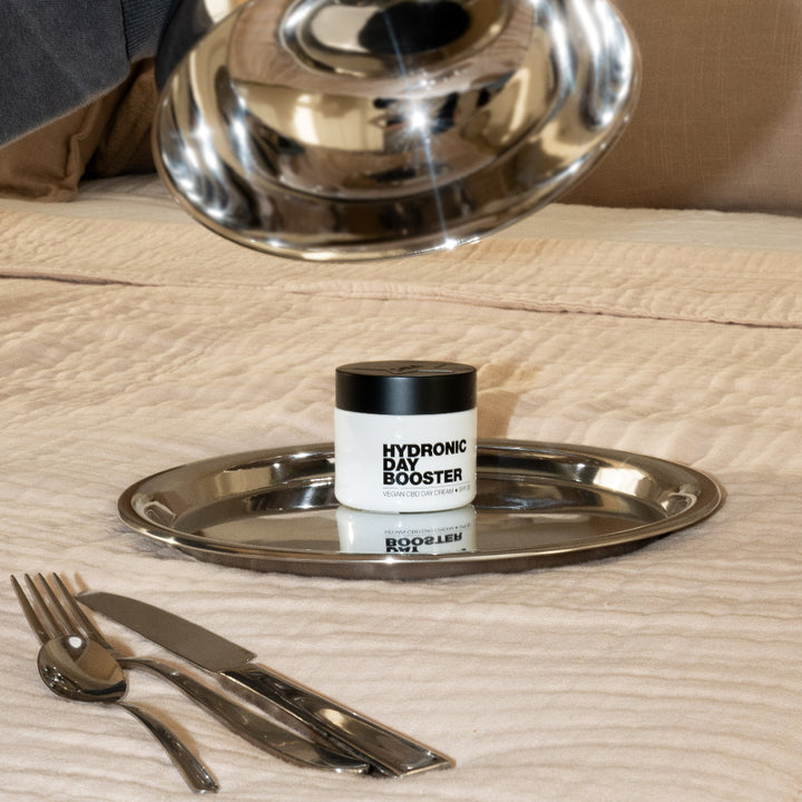 Hydronic Day Booster